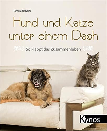 Hund und Katze unter einem Dach - So klappt das Zusammenleben