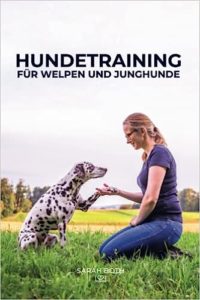 Hundetraining für Welpen und Junghunde