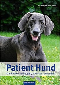 Patient Hund Krankheiten vorbeugen