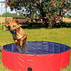 Hunde im Sommer - lionto Faltbarer Hundepool Schwimmbecken für Hunde