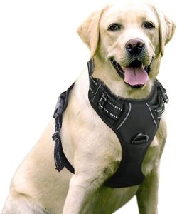 rabbitgoo No Pull Hundegeschirr atmungsaktiv Brustgeschirr Geschirr fuer Hunde