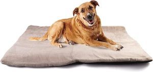 vitazoo Hundedecke waschbar in grau in 70 x 100