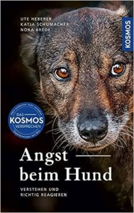 Angst bei Hunde erkennen