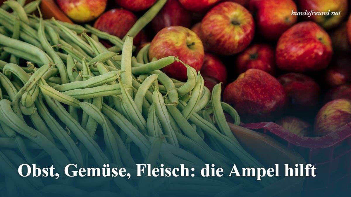 Welche Lebensmittel darf mein Hund essen? Die große Ampel-Liste 2 Frisches Gemüse und Obst: grüne Bohnen und rote Äpfel
