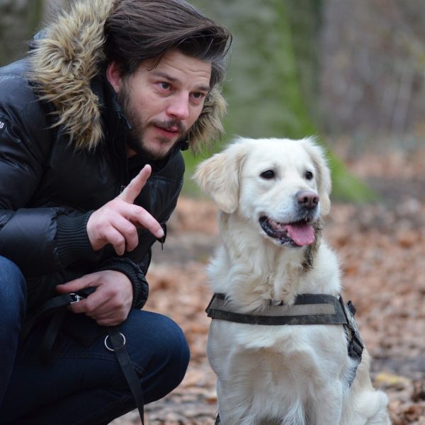 Die Erziehung beim Hund