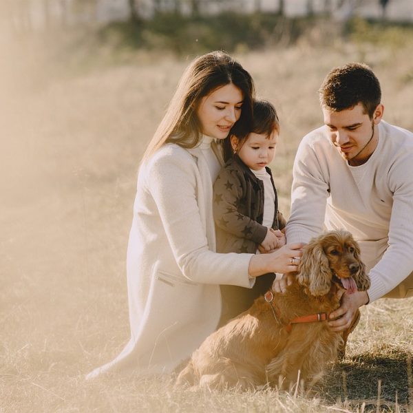 Hund für die ganze Familie