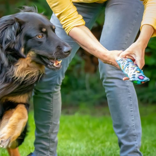 Hundespielzeug mit Intelligenzförderung