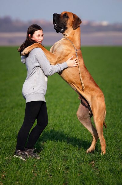 Mein Hund ist mein Freund