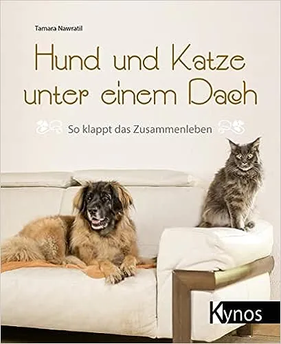 Hund und Katze unter einem Dach - So klappt das Zusammenleben